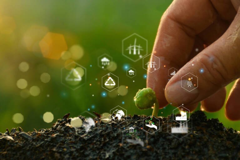 Accompagnement et coaching en transformation